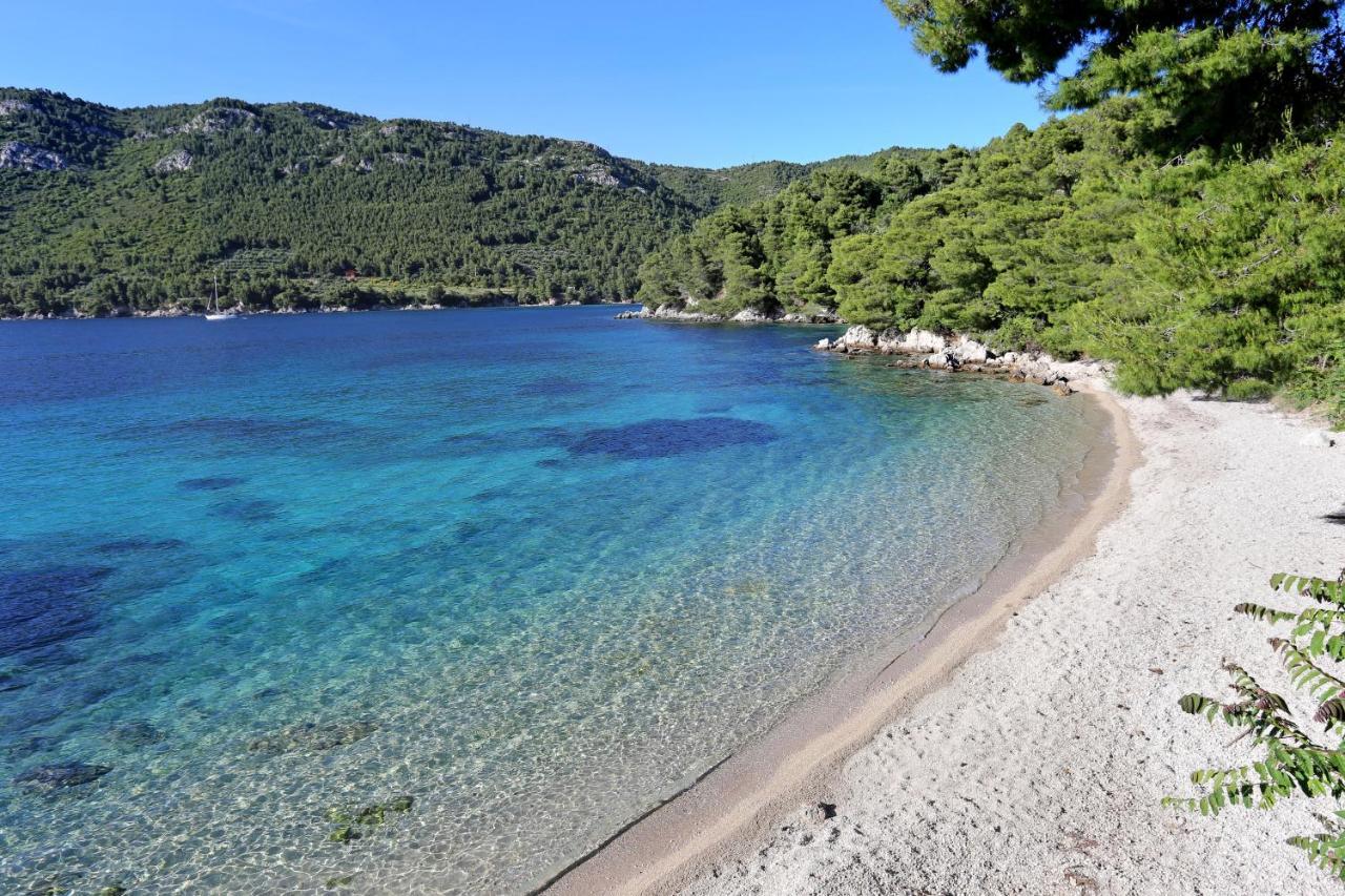 Apartments With A Parking Space Zuljana, Peljesac - 4574 Ngoại thất bức ảnh