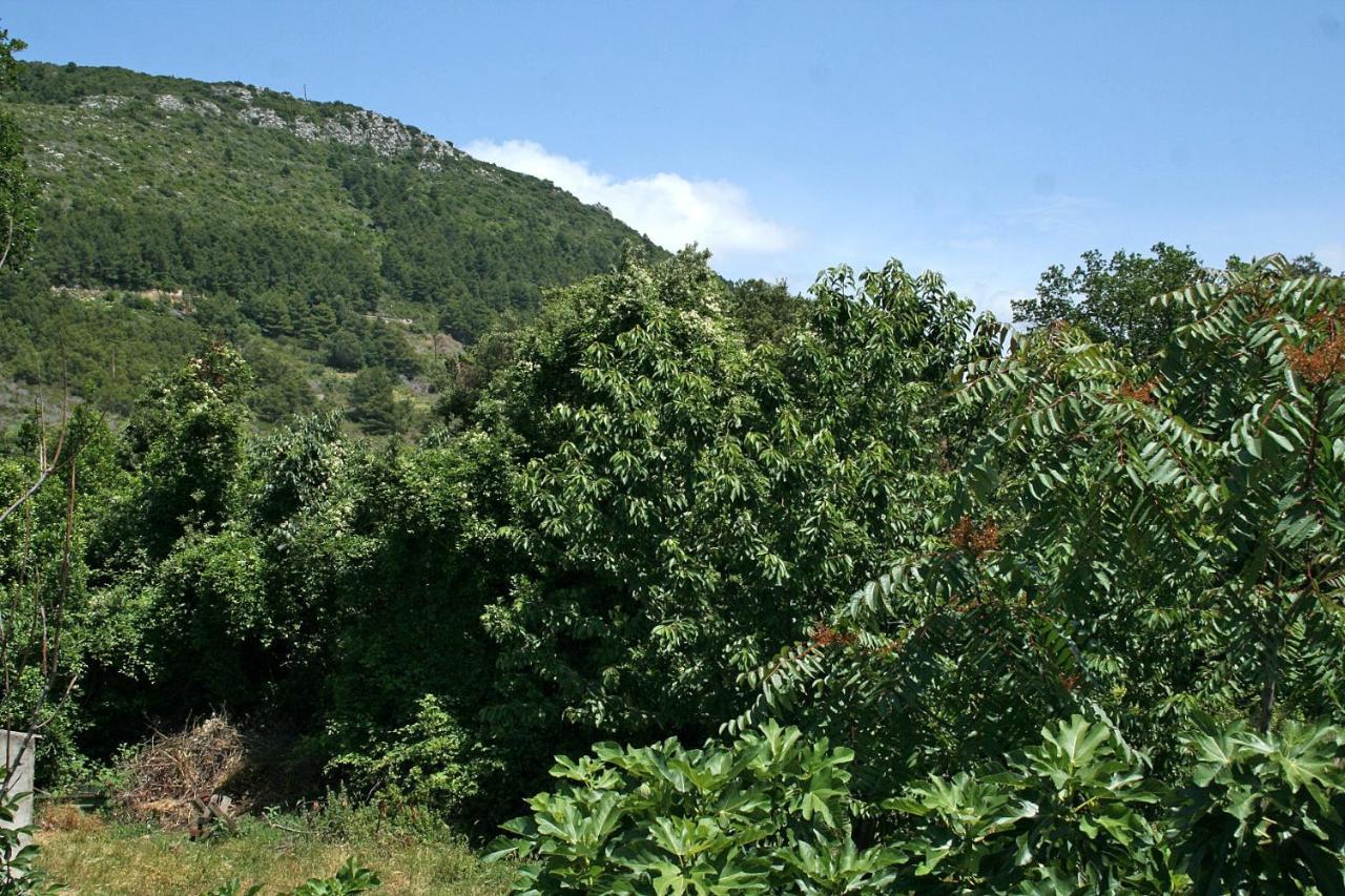 Apartments With A Parking Space Zuljana, Peljesac - 4574 Ngoại thất bức ảnh